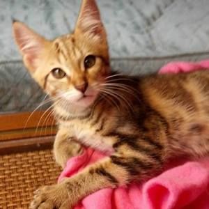 Meet your Posher, Tess